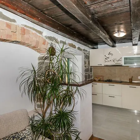 Apartment Igor